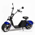 Scooter eléctrico adulto de león adulto